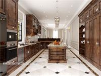 Thiết kế kiến trúc biệt thự cao cấp SPLENDORA